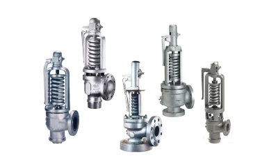 Crosby H Series Direct Spring Safety Valves